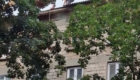 img-3.6-din-29.07.2025