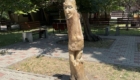 img-4.4-din-07.07.2025