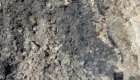 img-7.4-din-18.07.2025