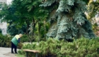 img-2.19-din-07.08.2025