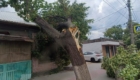 img-2.2-din-07.08.2025