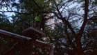 img-2.22-din-07.08.2025