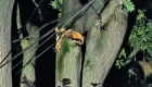 img-2.23-din-07.08.2025