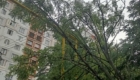 img-2.26-din-07.08.2025