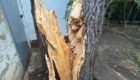 img-2.9-din-07.08.2025