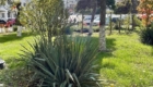 img-2.3-din-20.10.2025
