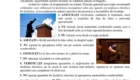 img-4.2-din-20.10.2025-md