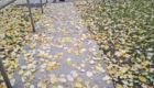 img-7.2-din-21.10.2025