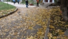img-7.7-din-21.10.2025