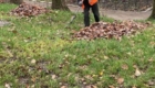591047871_882604464442357_6105218466772612538_n