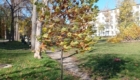 img-10.3-din-03.11.2025