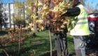 img-10.5-din-03.11.2025