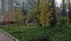 img-10.6-din-03.11.2025