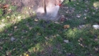 img-10.7-din-03.11.2025