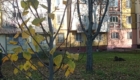 img-12.4-din-19.11.2025