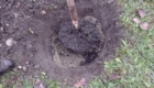 img-3.1-din-06.11.2025