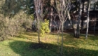 img-3.1-din-19.11.2025