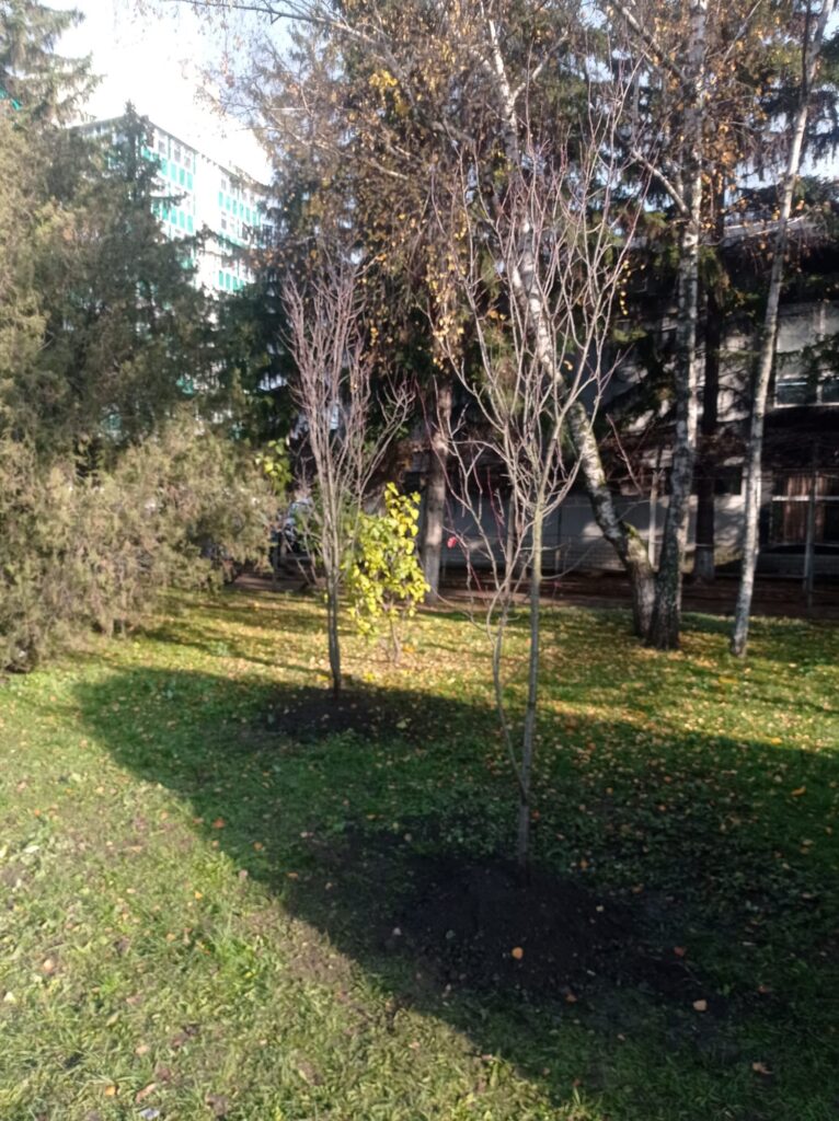 img-3.1-din-19.11.2025