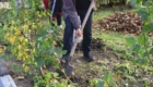 img-3.3-din-03.11.2025