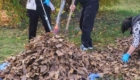 img-3.5-din-03.11.2025
