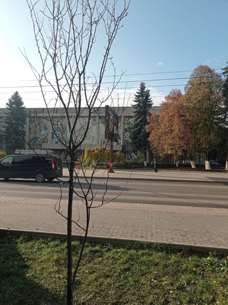 img-3.5-din-19.11.2025