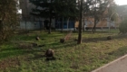 img-3.6-din-19.11.2025