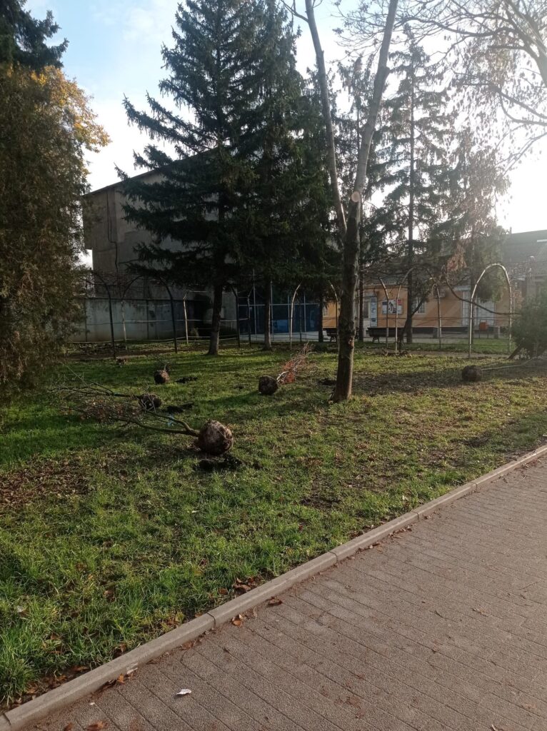 img-3.6-din-19.11.2025