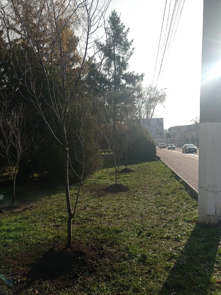 img-3.7-din-19.11.2025