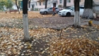 img-4.2-din-06.11.2025