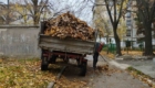 img-4.7-din-06.11.2025