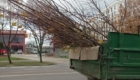 img-5.3-din-18.11.2025