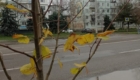 img-5.4-din-18.11.2025