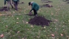 img-7.1-din-19.11.2025
