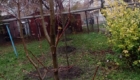 img-7.1-din-21.11.2025