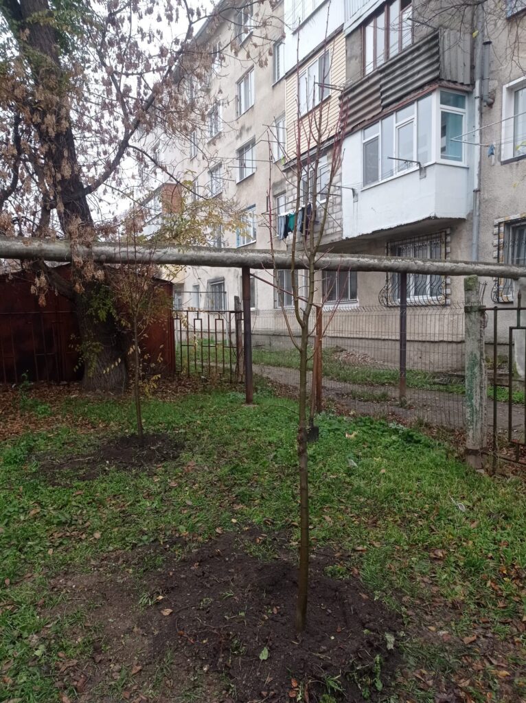 img-7.10-din-21.11.2025