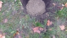 img-7.2-din-19.11.2025