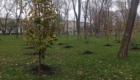 img-7.3-din-19.11.2025