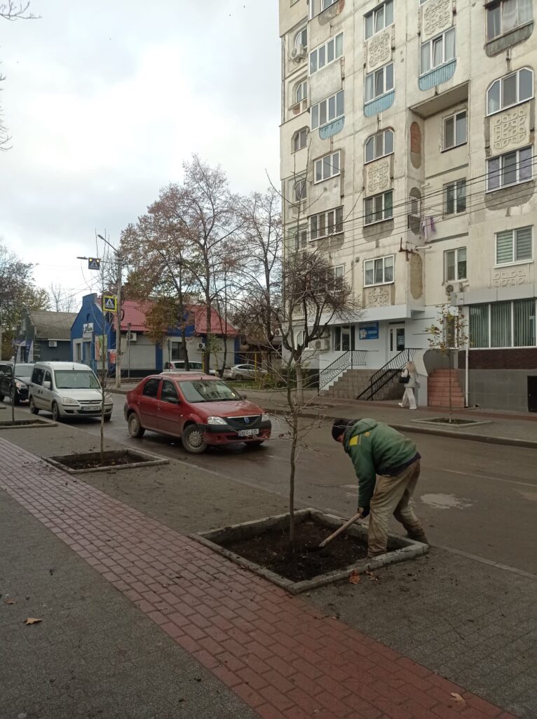 img-7.3-din-21.11.2025