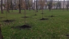 img-7.4-din-19.11.2025