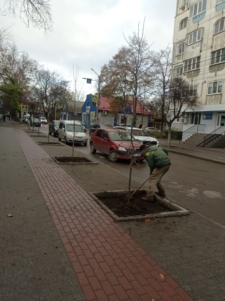 img-7.4-din-21.11.2025