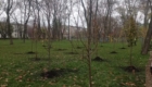 img-7.5-din-19.11.2025