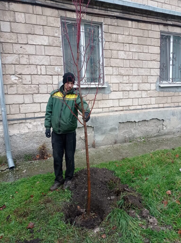 img-7.5-din-21.11.2025