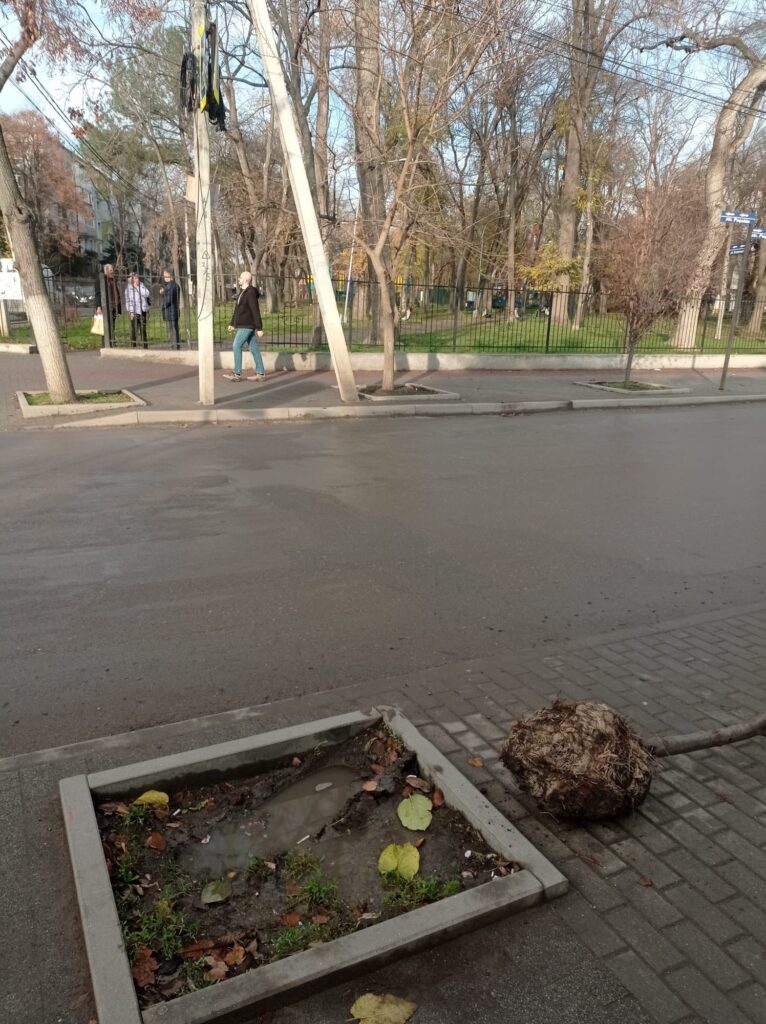img-7.7-din-21.11.2025