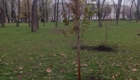 img-7.8-din-19.11.2025