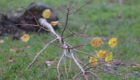 IMG_8177