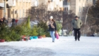 img-3.1-din-31.12.2025