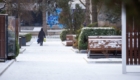 img-3.10-din-31.12.2025