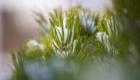 img-3.8-din-31.12.2025