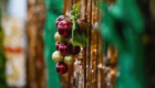 IMG_1428