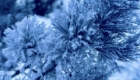img-1.1-din-22.01.2026